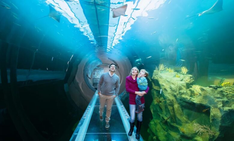 حديقة الاحياء المائية فى فيينا