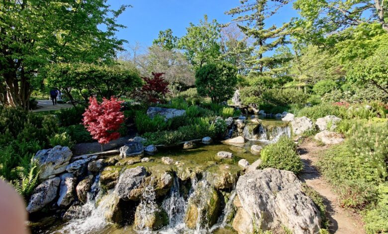 Owner: Michael Mustillo