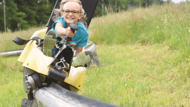 الزحليقة الصيفية في فيينا