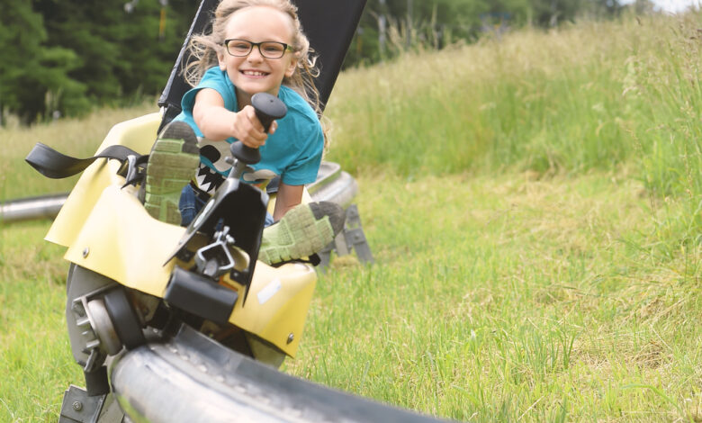 الزحليقة الصيفية في فيينا