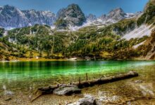 تكلفة السفر الى النمسا