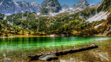 تكلفة السفر الى النمسا