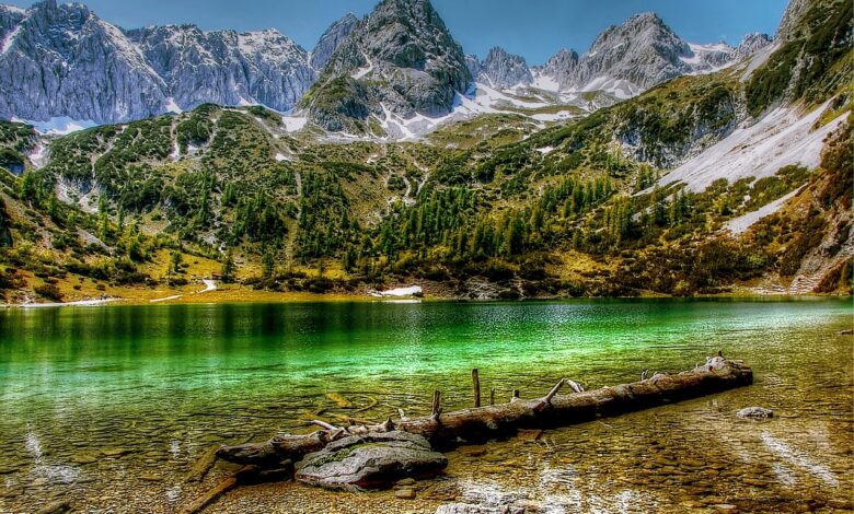 تكلفة السفر الى النمسا