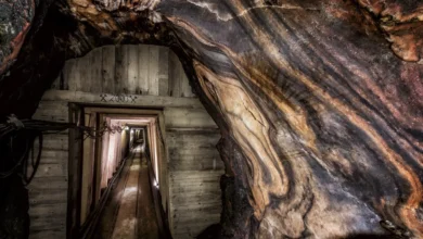 copyright © Salzwelten – www.salzwelten.at