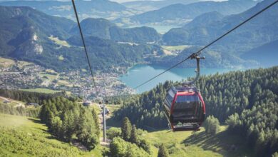 copyright © Zwölferhorn Seilbahn Ges.m.b.H. – zwoelferhorn.at